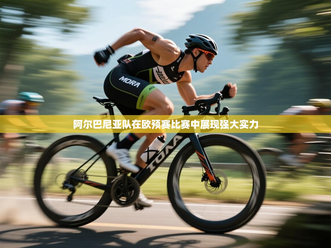 蓝鲸体育app下载官网-阿尔巴尼亚队在欧预赛比赛中展现强大实力  第3张